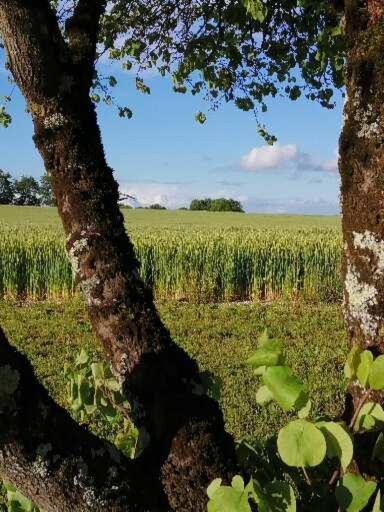 Les Cypres De Crose I Villa Badefols-sur-Dordogne ภายนอก รูปภาพ