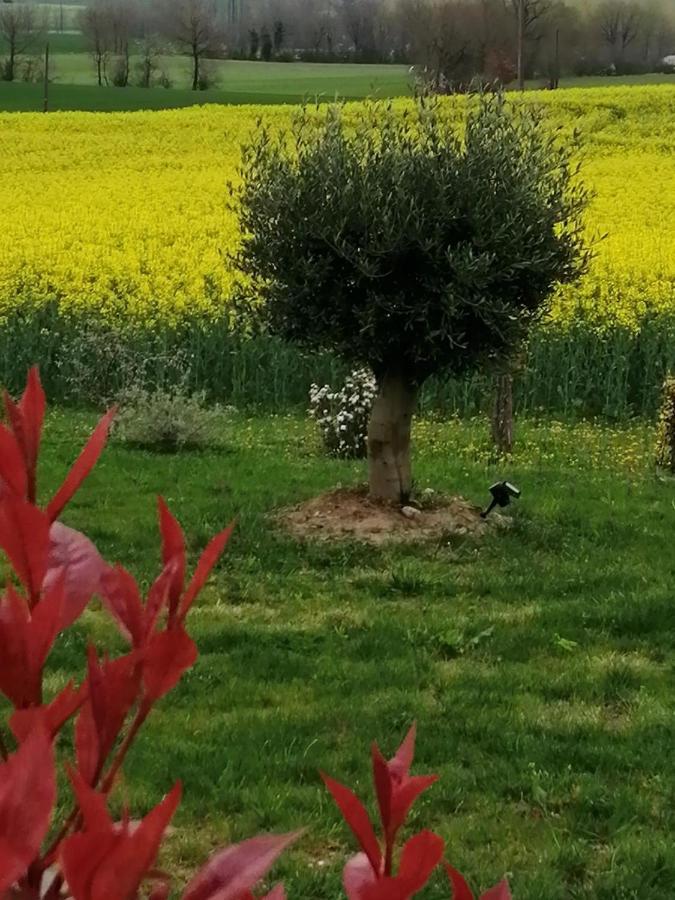 Les Cypres De Crose I Villa Badefols-sur-Dordogne ภายนอก รูปภาพ