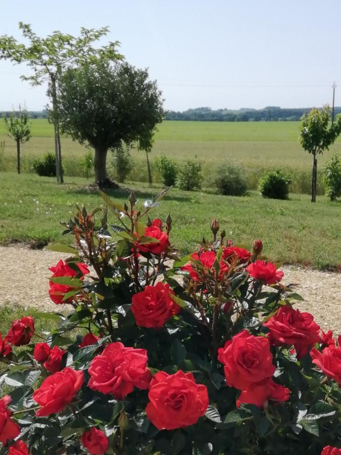 Les Cypres De Crose I Villa Badefols-sur-Dordogne ภายนอก รูปภาพ